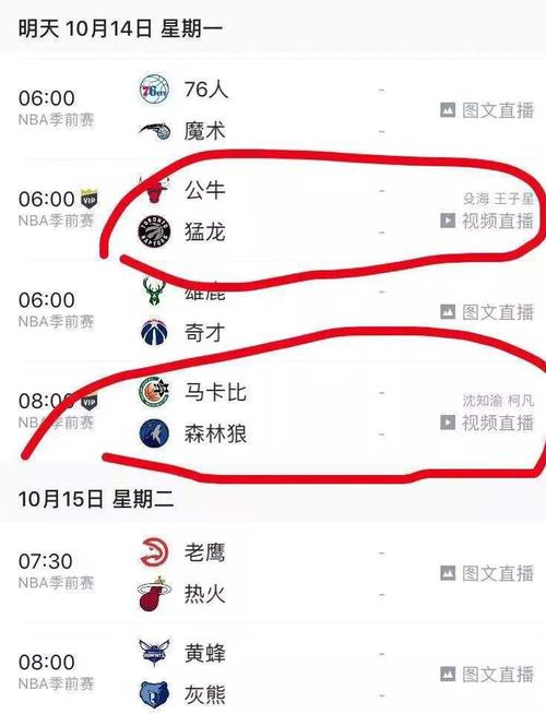 战术指导