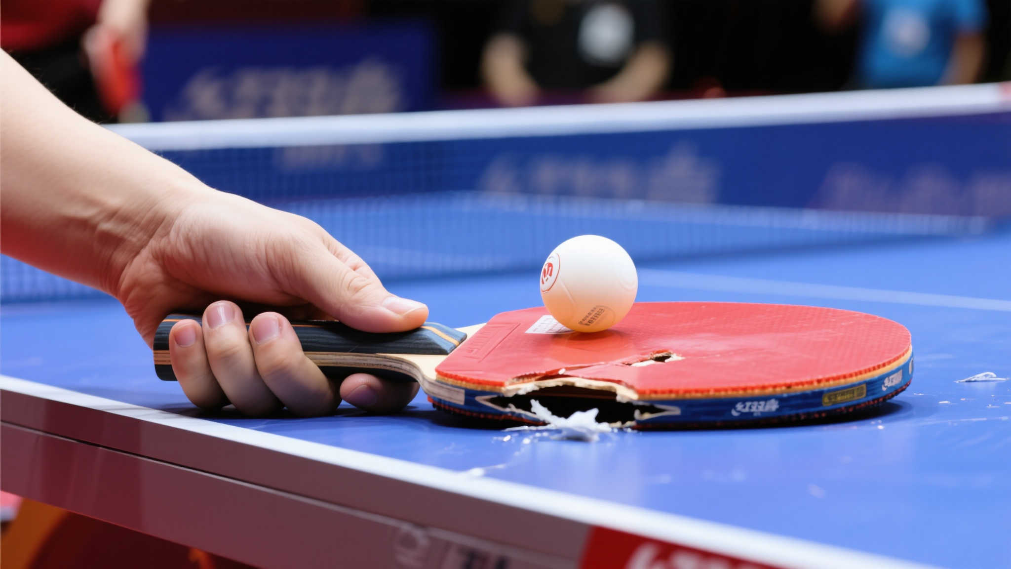 昆的榜样之 昆的榜样之